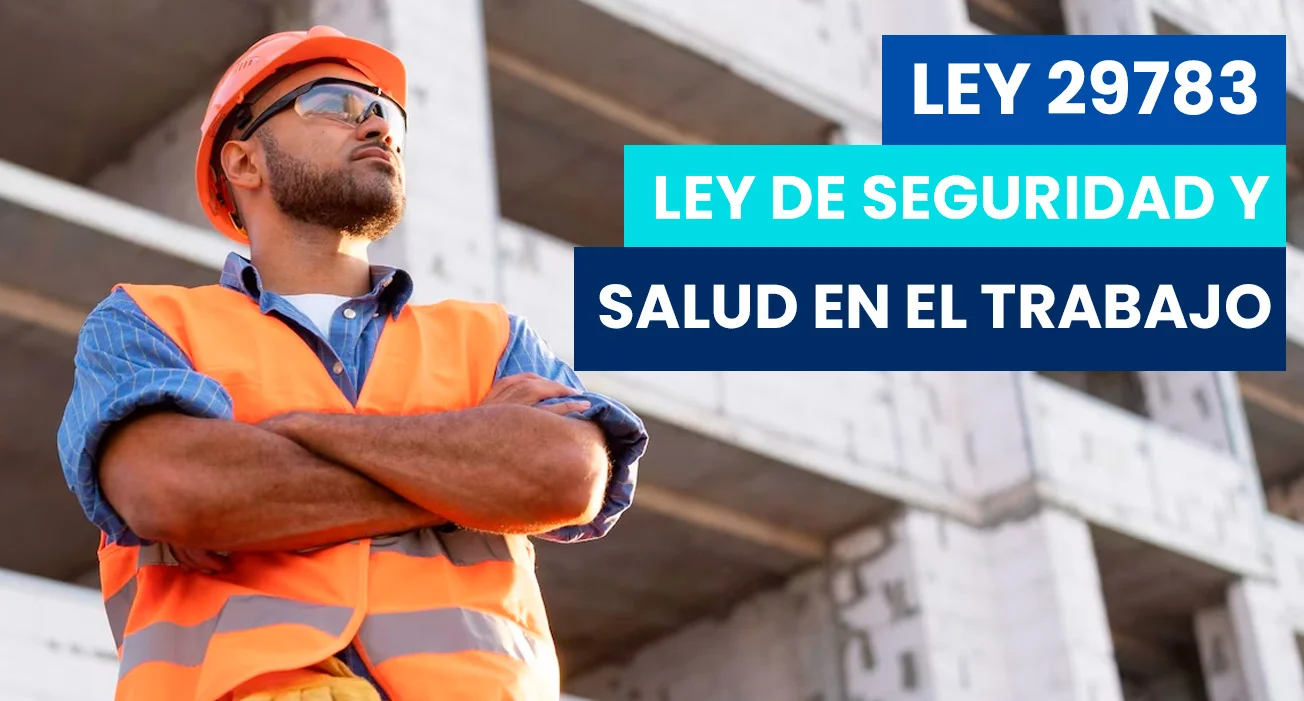 Temas de Capacitaciones según la Ley N° 29783